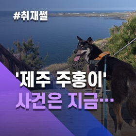 강아지 학대 미스터리…경찰 탐문 수사중